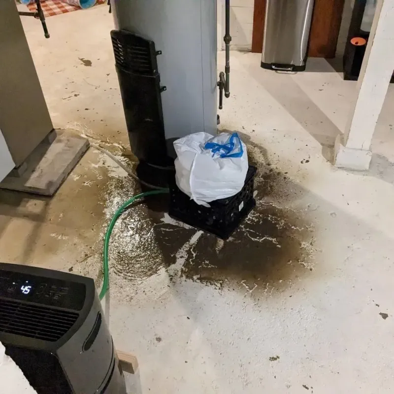Sewage Backup Cleanup Service in Caruthers, CA
